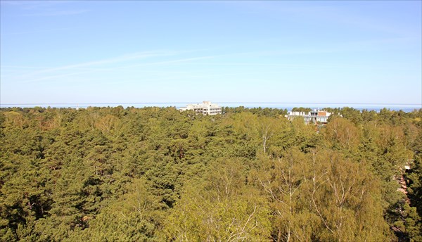 027-Дзинтари, лесопарк, башня